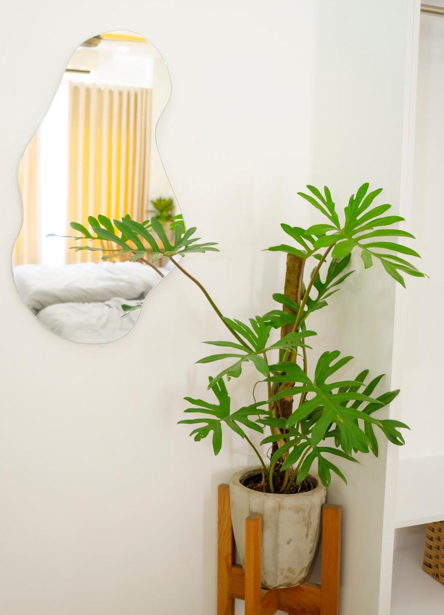 Long Xuyên La Homestay מראה חיצוני תמונה